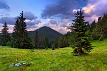 Obraz Prekrásna príroda zs1346